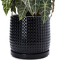 D'vine Dev Beaded Ceramic Pot with Saucer, 4 in, Midnight Blue, 27-C-Z-3