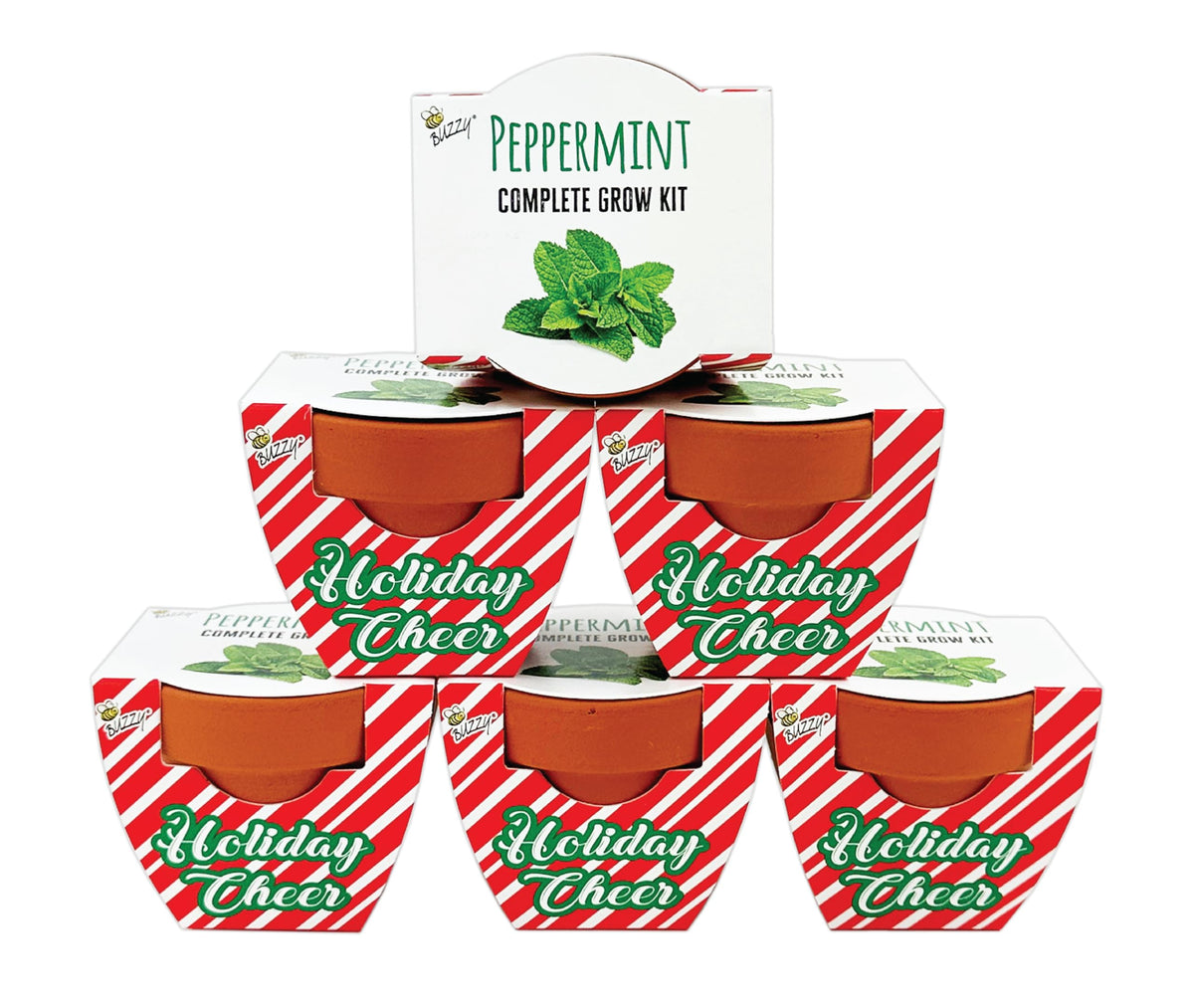 BUZZY Seeds Daydream Grow Kit 6-Pack, Terracotta Pots, Assorted Flowers