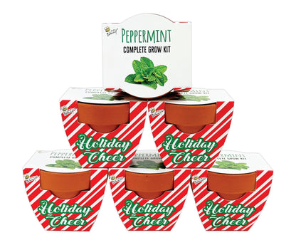 BUZZY Seeds Daydream Grow Kit 6-Pack, Terracotta Pots, Assorted Flowers