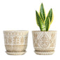 Gepege Ceramic Succulent Pots, 4 Inch Small Plant Pots with Drainage