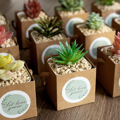 Temlum 2.5 Inch Succulent Wrap Bags (Fits 2.5″ Pots) with Thank You & Let Love Grow Stickers, Small Gift Box for Wedding, Baby Shower, Succulent Party Favors for Guests (Brown 40pcs)
