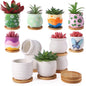 Remerry 12 Pcs 2.5 Inch Mini DIY Ceramic Succulent Pots with Bamboo Tray