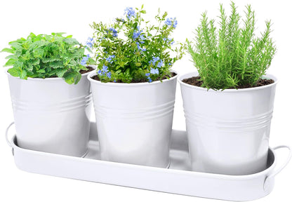 Small Pots for Plants, 3-Pack 4.7 Inch White Metal Herb Pots, Mini Windowsill Planter for Succulent, Cactus, Basil, Mint, Rosemary