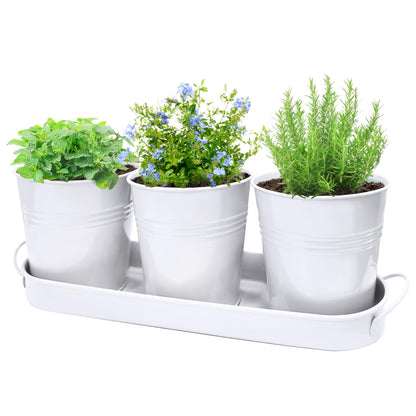 Small Pots for Plants, 3-Pack 4.7 Inch White Metal Herb Pots, Mini Windowsill Planter for Succulent, Cactus, Basil, Mint, Rosemary