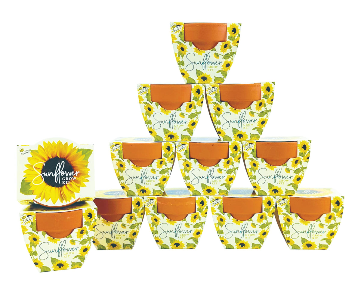 BUZZY Seeds Daydream Grow Kit 12-Pack, Terracotta Pots, Assorted Flowers