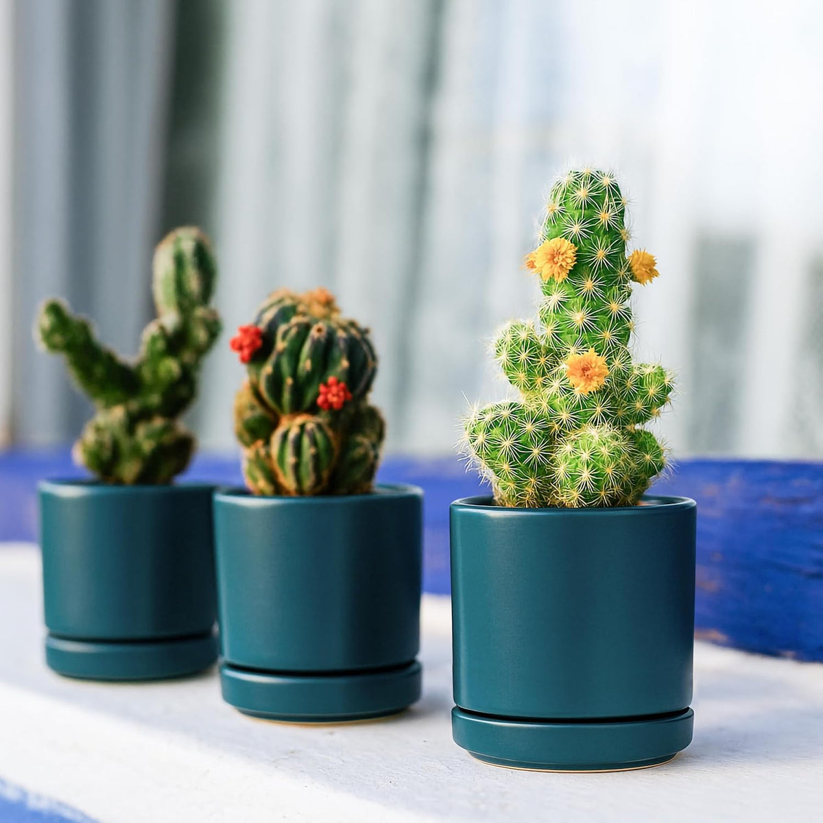 D'vine Dev 3.5 Inch Ceramic Planter Pot, Teal, 94-O-A-9