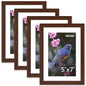 FIXSMITH 5x7 Picture Frame Bulk-4 Pack, Gold Picture Frames Collage Wall Decor, Wall & Tabletop Picture Frames, Photo Frame with HD Plexiglass, Display Pictures 4x6 with Mat or 5x7 Without Mat
