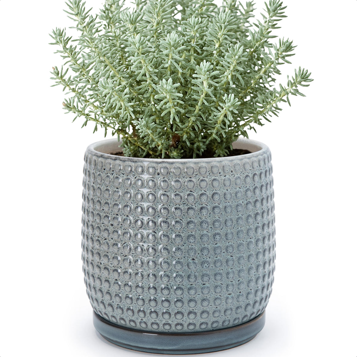 D'vine Dev Beaded Ceramic Pot with Saucer, 4 in, Midnight Blue, 27-C-Z-3