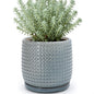 D'vine Dev Beaded Ceramic Pot with Saucer, 4 in, Midnight Blue, 27-C-Z-3