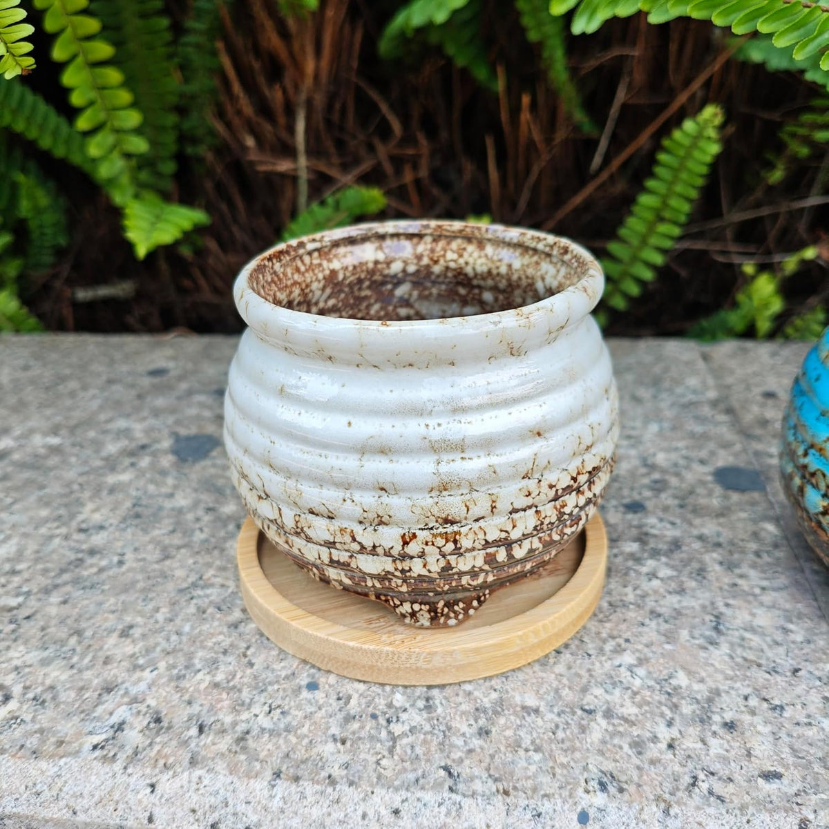 3.5 Inch Ceramic Succulent Planter Pot with Drainage Hole & Bamboo Tray - Mini Round Small Plant Pot for Indoor Desktop, Cactus Flower Container (Plant and Soil Not Included)，White