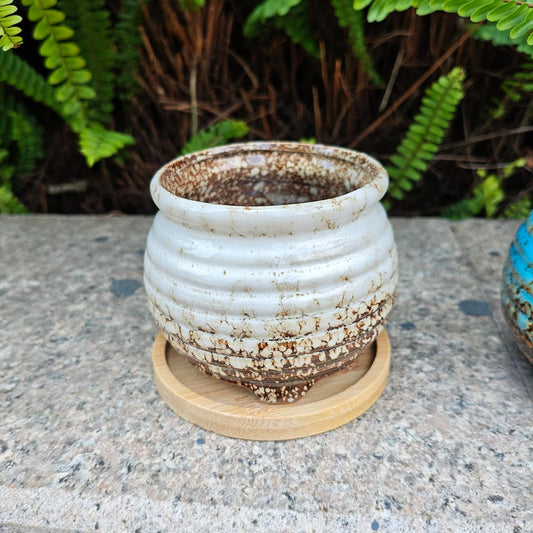 3.5 Inch Ceramic Succulent Planter Pot with Drainage Hole & Bamboo Tray - Mini Round Small Plant Pot for Indoor Desktop, Cactus Flower Container (Plant and Soil Not Included)，White