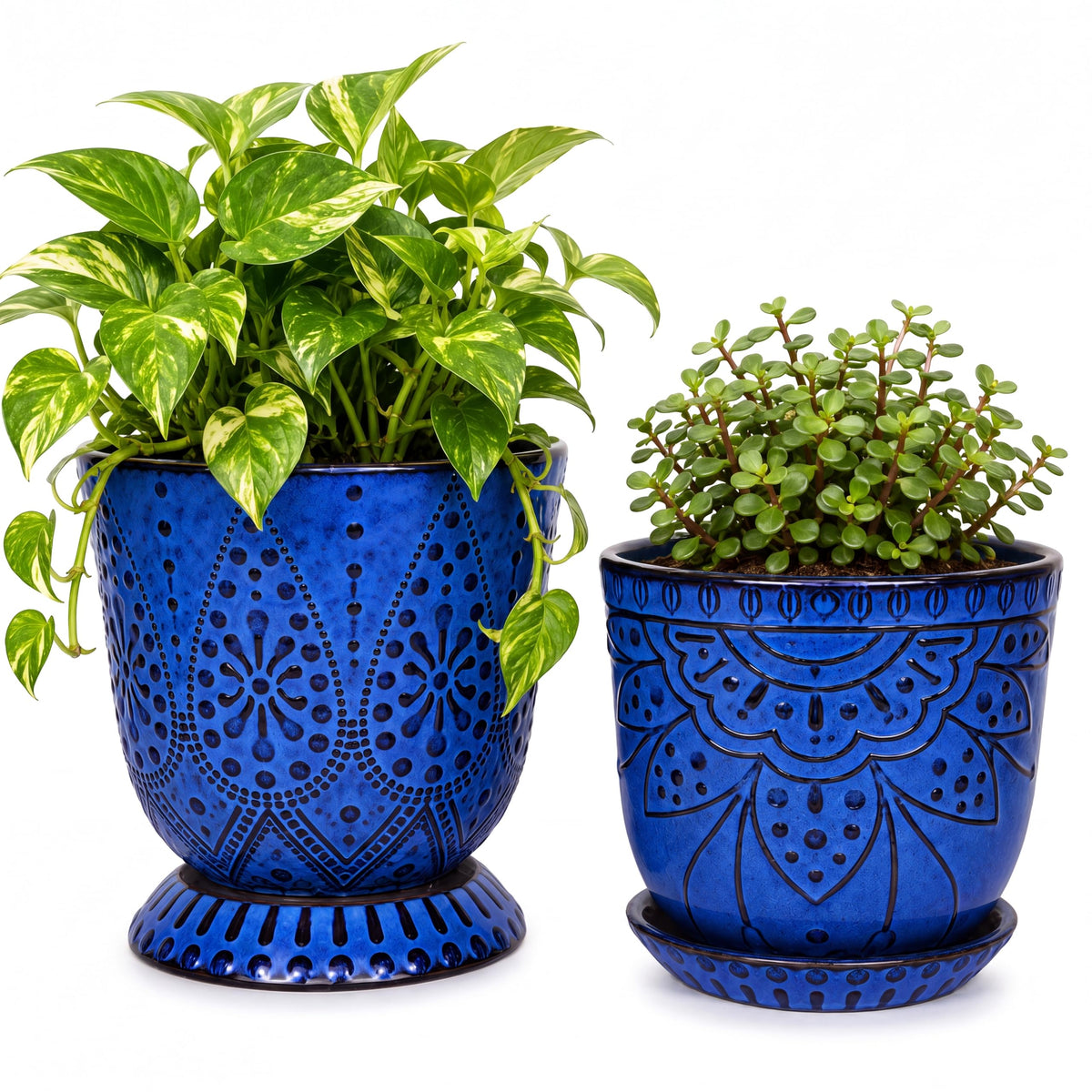 Gepege Ceramic Succulent Pots, 4 Inch Small Plant Pots with Drainage