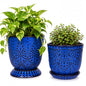 Gepege Ceramic Succulent Pots, 4 Inch Small Plant Pots with Drainage