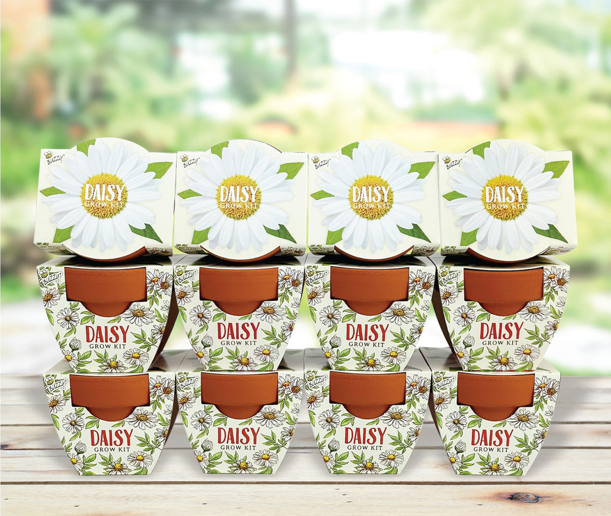 BUZZY Seeds Daydream Grow Kit 12-Pack, Terracotta Pots, Assorted Flowers